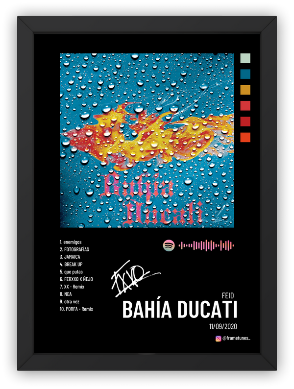 Cuadro Feid - BAHÍA DUCATI