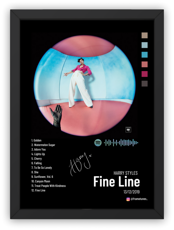 Cuadro Harry Styles - Fine Line