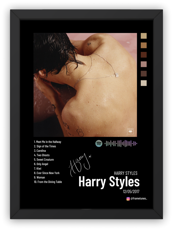 Cuadro Harry Styles - Harry Styles