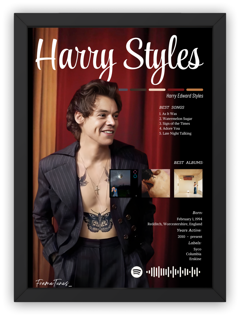 Cuadro Harry Styles Ver. 1