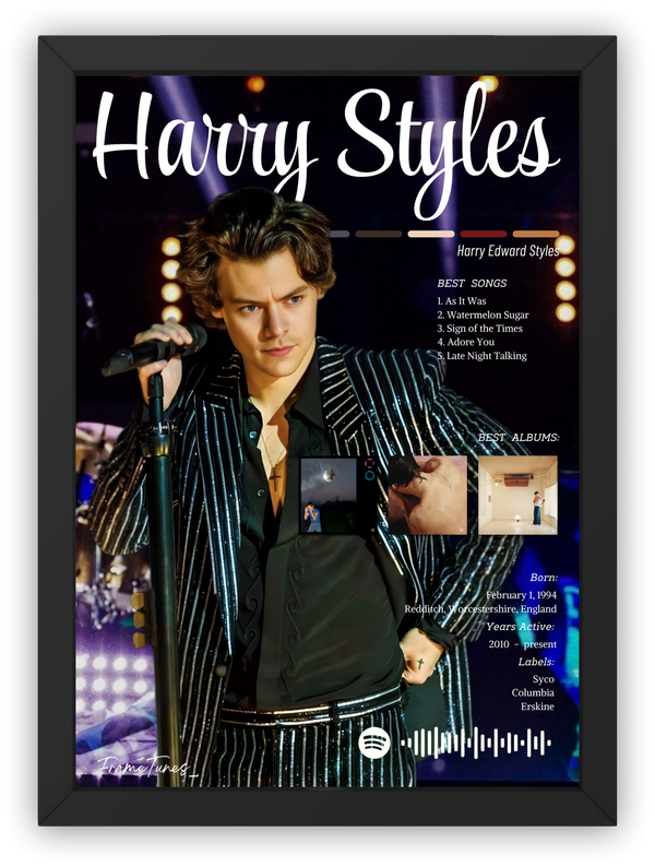 Cuadro Harry Styles Ver. 2