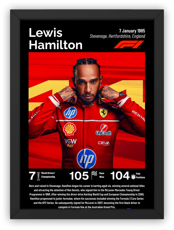 Cuadro Lewis Hamilton