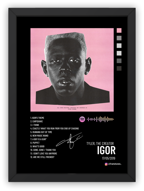 Cuadro Tyler, The Creator - IGOR